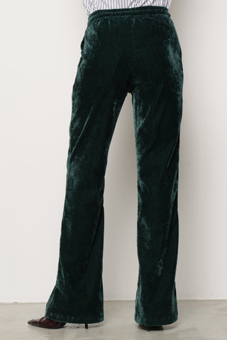 Pantalone FLAVOR in velluto Flare con coulisse più Ricamo