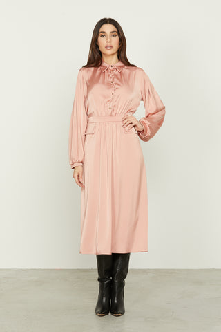 DANBEY_A midi long sleeve balloon dress with collar plus buttons and flaps