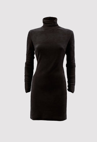 REGOL dress, high neck, long sleeves, round neckline, back